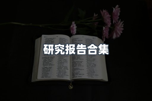 研究报告合集